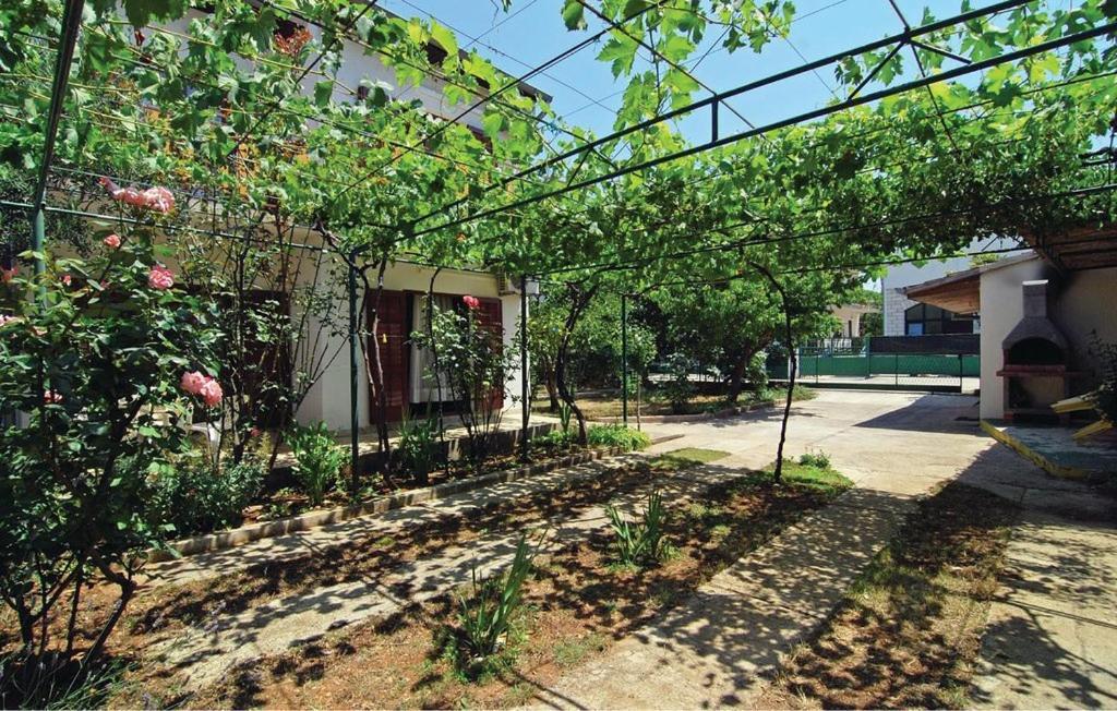 Apartmani Katarina Srima Exteriér fotografie